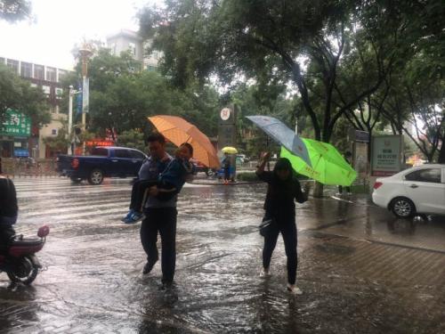 风雨的温暖