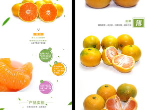 我最喜欢的橙色水果
