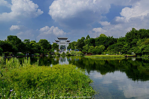 游览海珠湖湿地公园