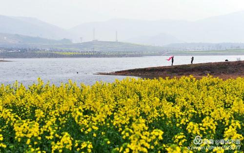 春风是美丽的风景