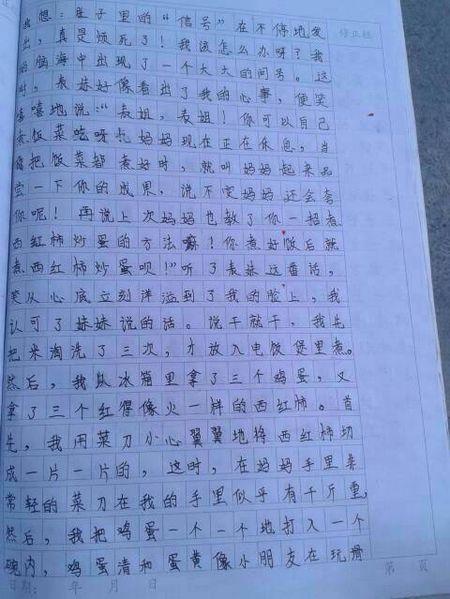 我的冰箱上有500个字