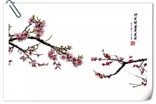 小桃树，我的幸福之源