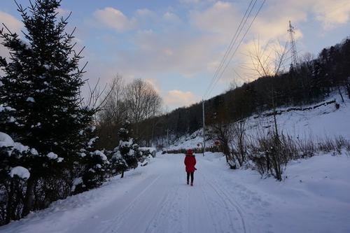 碰雪