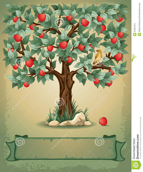 爷爷和苹果树