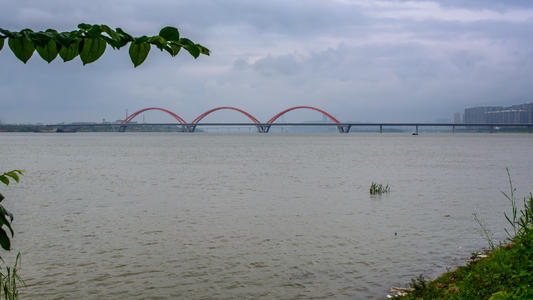 在湘江两岸放风筝