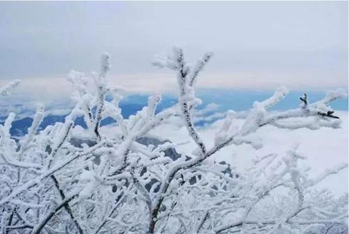 享受雪的乐趣