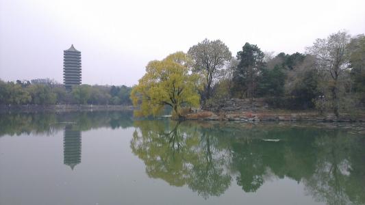 撰写北京大学未名湖的组成
