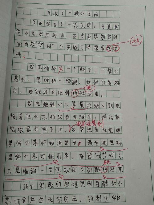 我做了一个100字的小实验