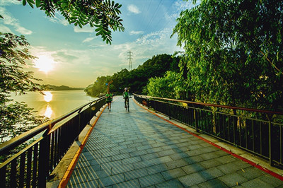 青山湖大桥