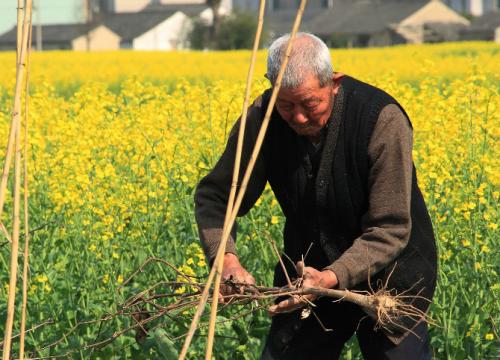 寒冷的冬天保暖