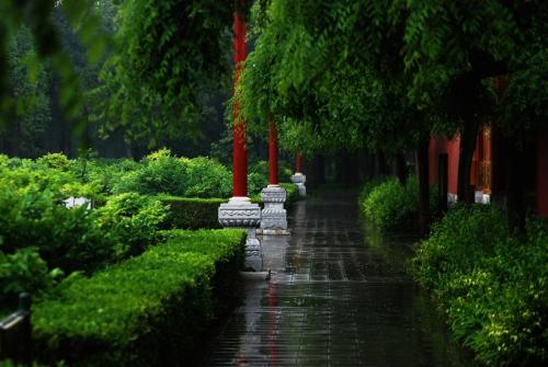 一路上的雨景