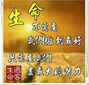 师父只知道柴饭很贵