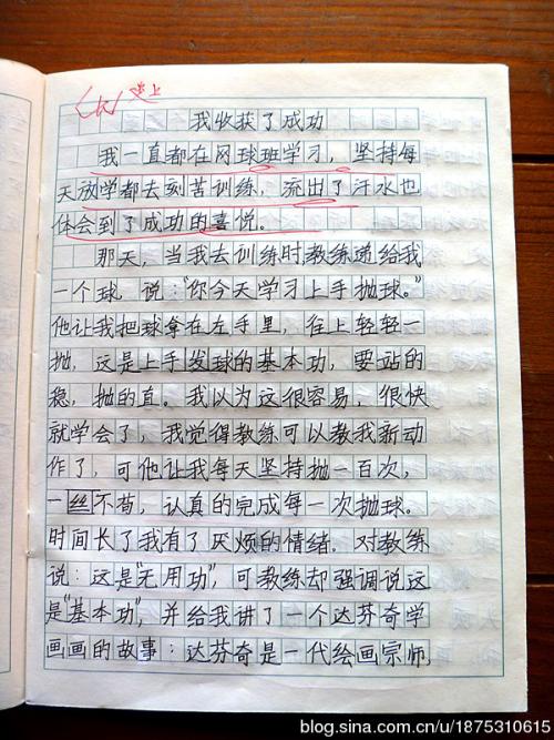 我最喜欢的季节性作文300字