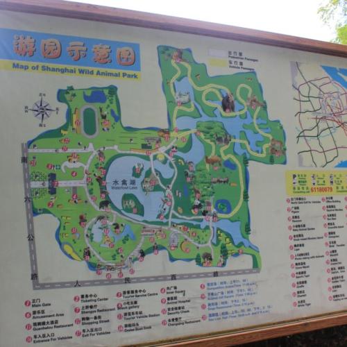 参观上海野生动物园
