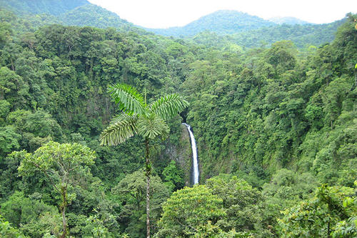 热带雨林冒险