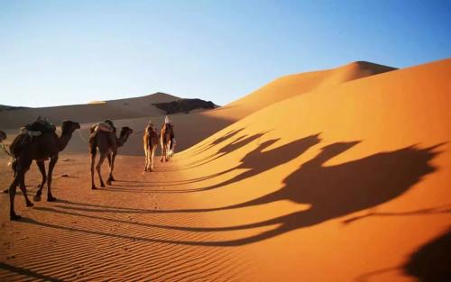 撒哈拉沙漠之旅