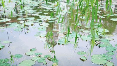 风吹过我多彩的青春