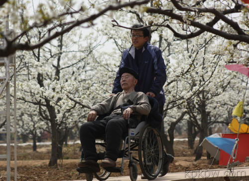 普通孝顺