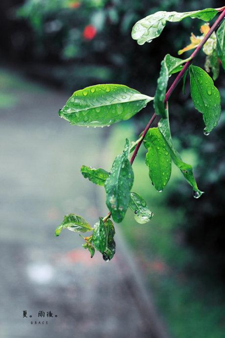 夏天小雨