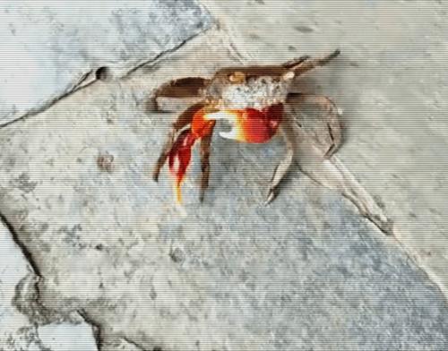 逃脱的螃蟹
