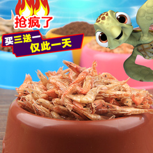 龟虾比赛