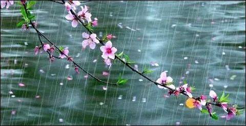 多彩的春雨