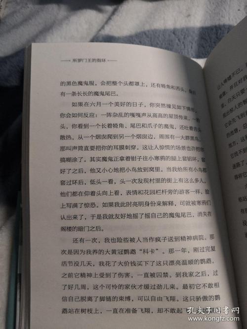 所罗门之戒