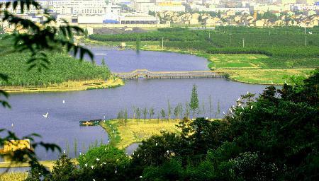 美丽的镜湖湿地公园