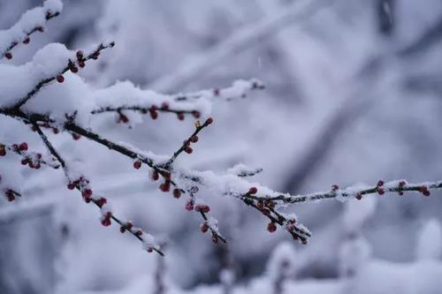 2018年的第一场雪