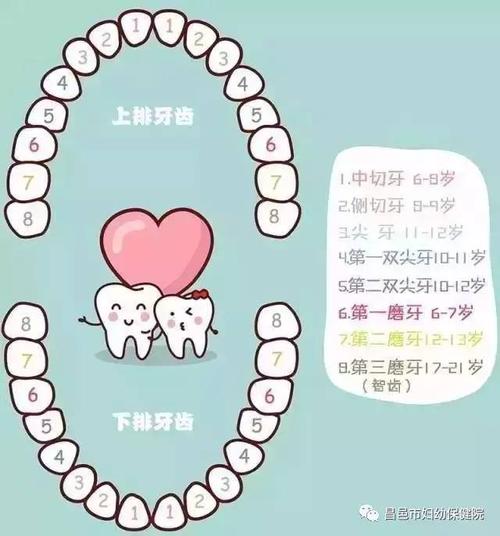 长出牙齿替换物