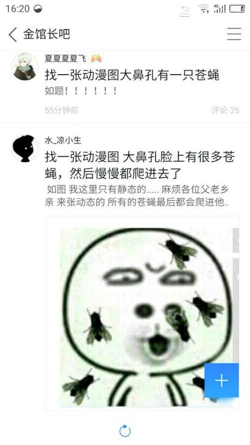 认罪苍蝇