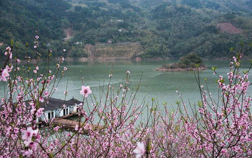 美丽的桃花湖