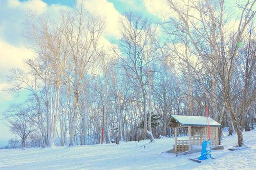 冬天我喜欢雪花