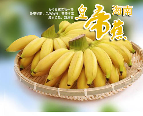 给海南香蕉农的一封信