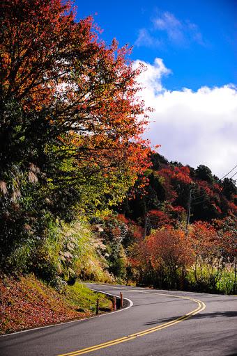 游览阿里山