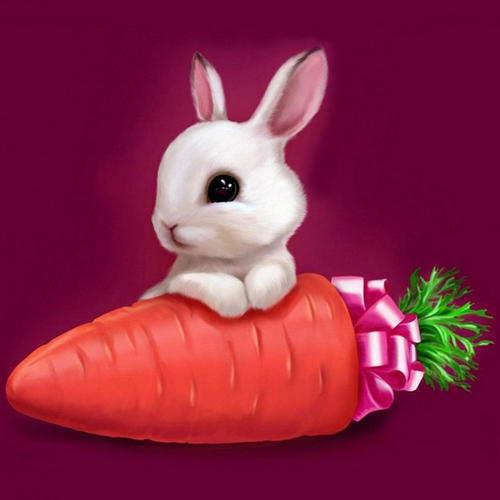 我喜欢可爱的小白兔