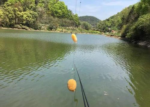 钓鱼体验