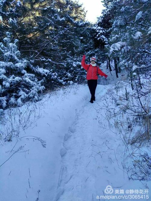 雪中​​的笑声