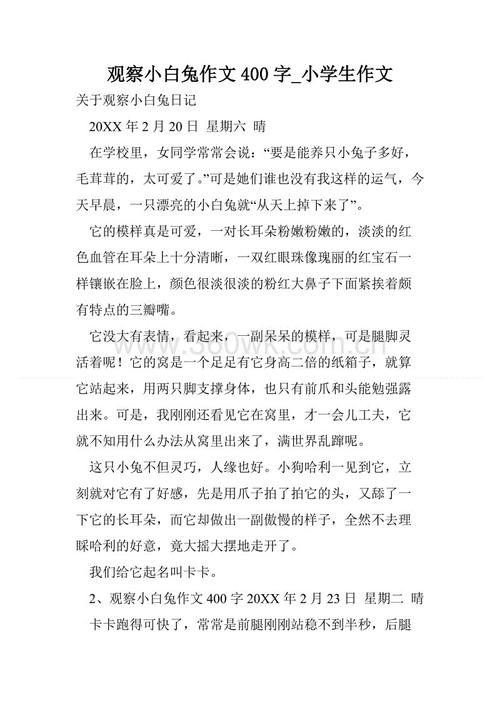 快乐小白兔作文300字