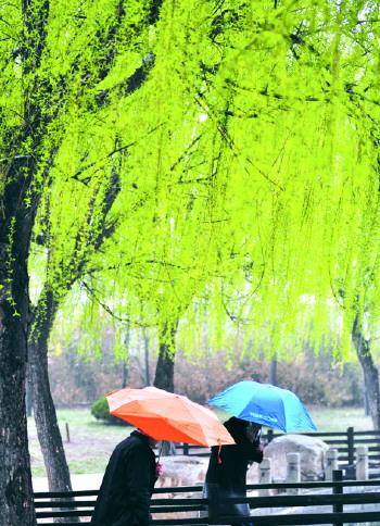 毛毛雨来的时候