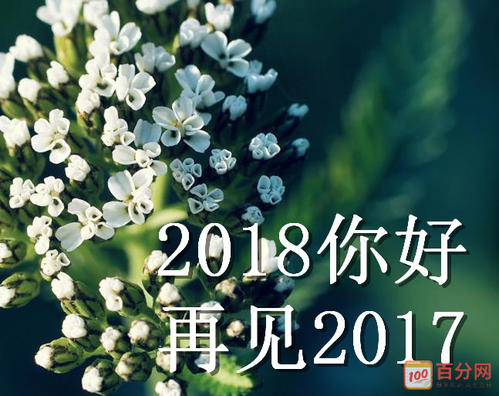 再见2017