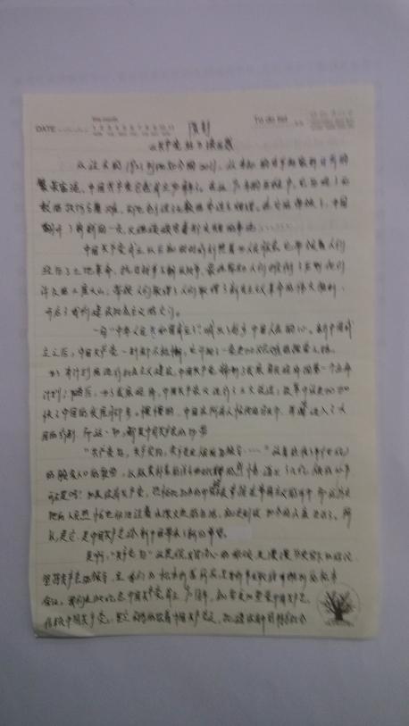 红星闪耀后的300个字