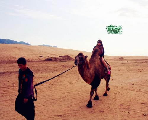 骑骆驼旅行