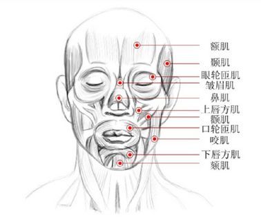 一个简单的微笑