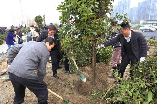 植树大冒险