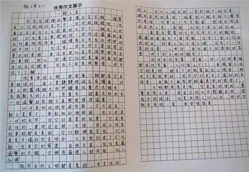 800字的故事作文