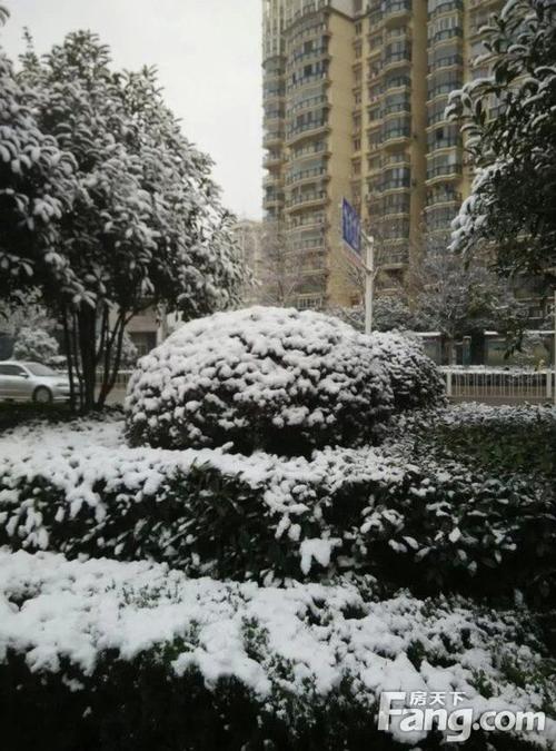 雪中​​的故事