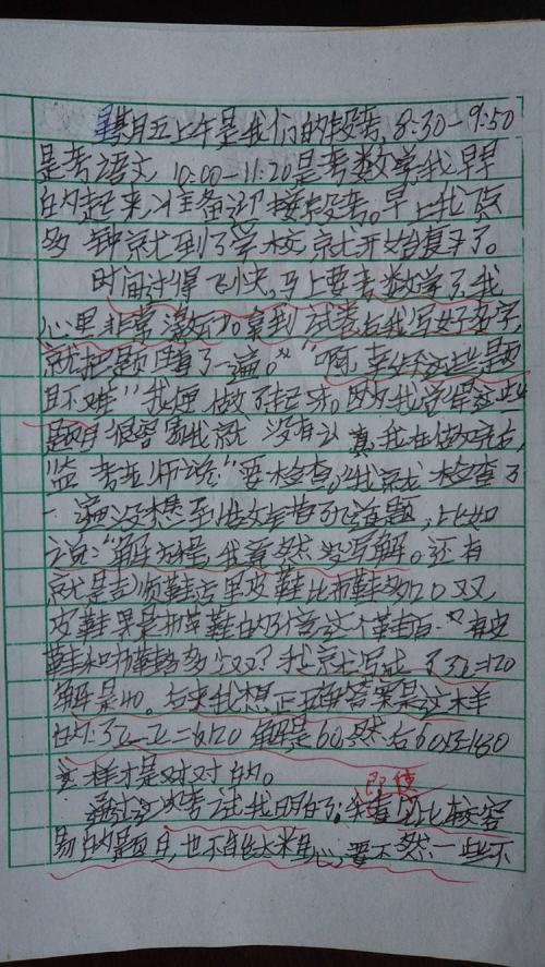 日记三年级300字作文