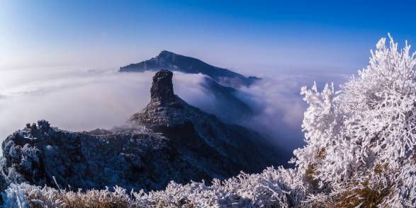 我看到青山