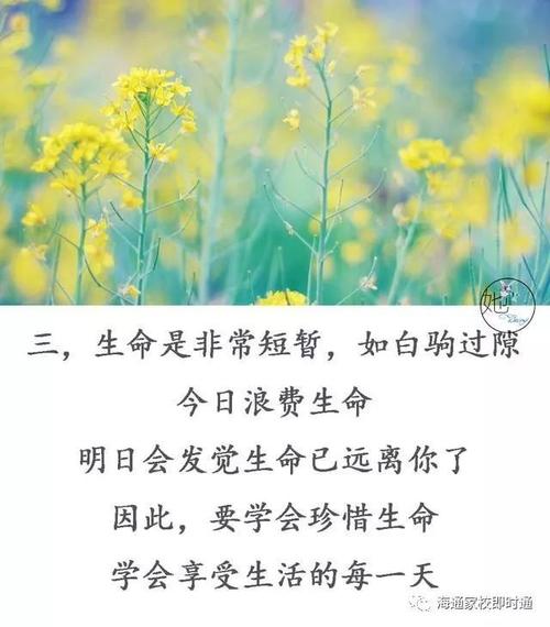 珍惜学习和生活的每一天